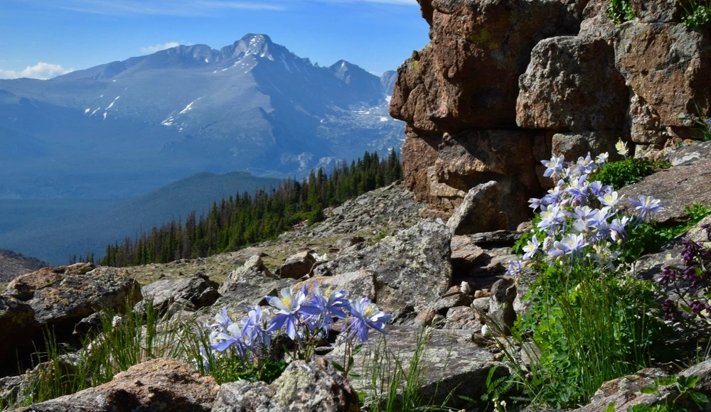 How to Sell Inherited Land in Colorado closing checklist