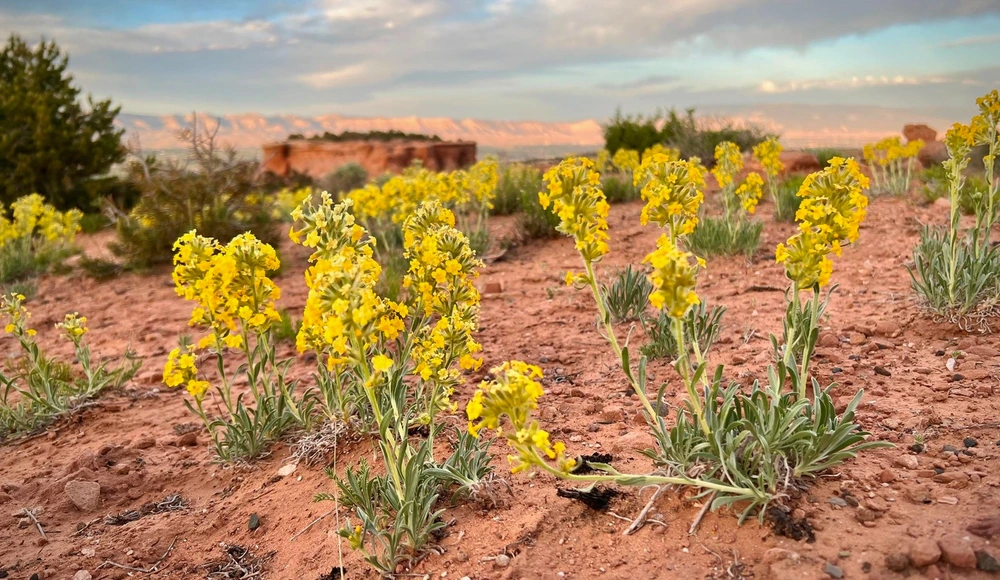 How to Sell Land Fast in Colorado land guide