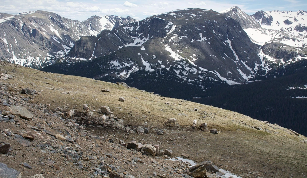 How to Sell Land Without a Realtor in Colorado land sale review