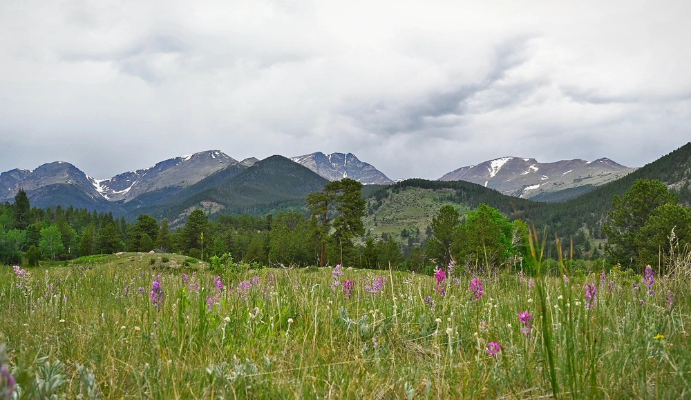 How to Sell Land Without Clear Title in Colorado closing checklist