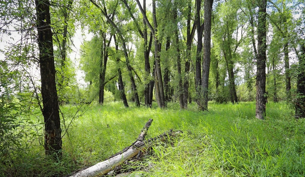 Legal Documents for Selling Land in Colorado closing checklist